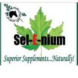 Overall Health Supplement - Herbs for Horses Sel-E-nium