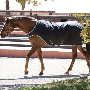 Amigo 200g Walker Rug - Black/Silver