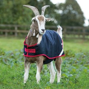 Horseware Ireland 100g Goat Coat - Navy/Red