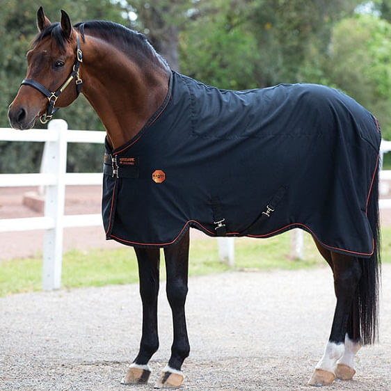 Rambo-Ionic-Spun-Poly-Stable-Sheet---Black-Black-Orange-19194