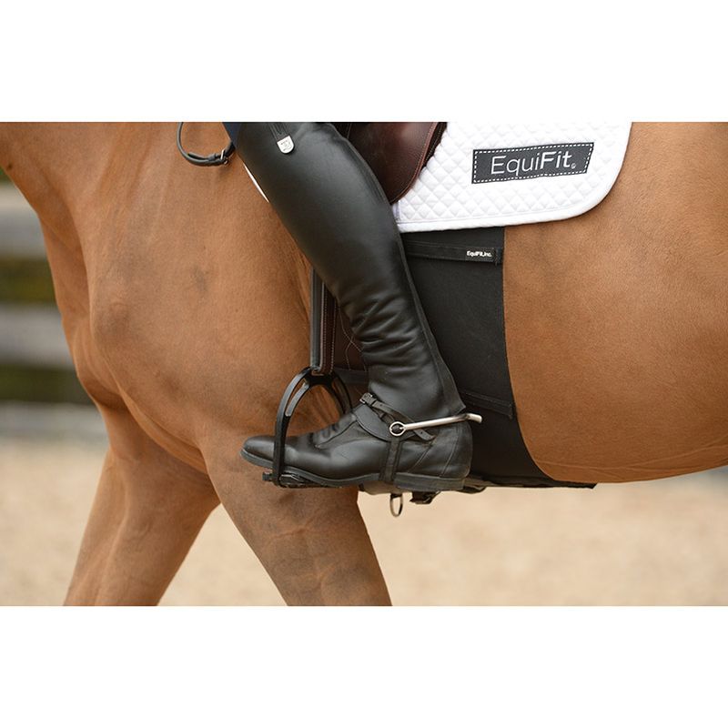 Equifit-BellyBand-42724
