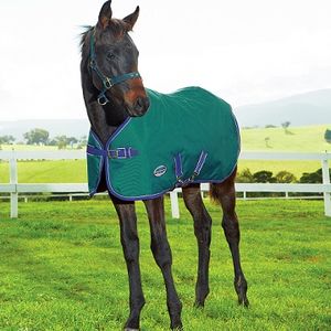 Weatherbeeta ComFiTec Essential Midweight Foal Turnout Blanket