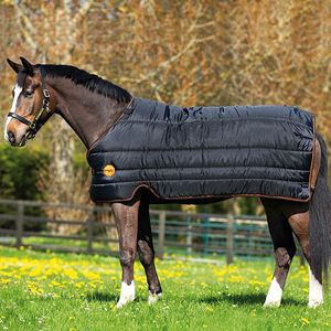 Rambo Ionic 100g Blanket Liner