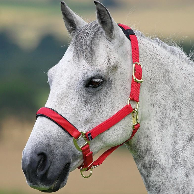 Shires-Topaz-Nylon-Halter---Red-20459