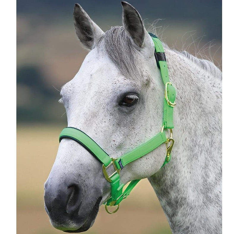Fully Adjustable Head Collar With Contrast Fur - Horse / Pony from