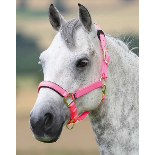 Fully Adjustable Head Collar With Contrast Fur - Horse / Pony from