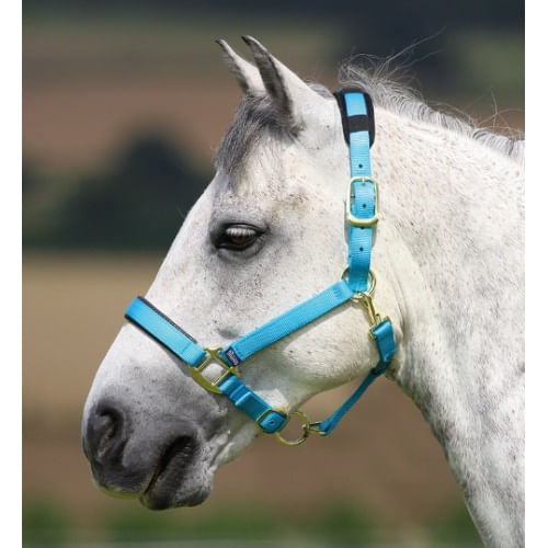 Shires Topaz Nylon Breakaway Halter - Blue