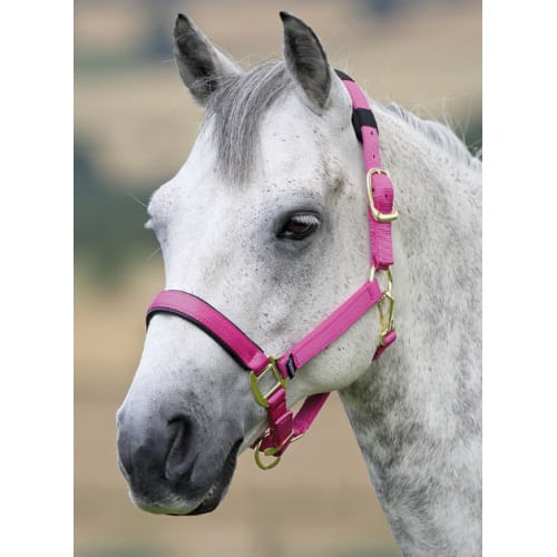 Shires-Topaz-Nylon-Halter---Raspberry-20766