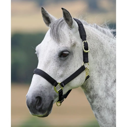 Fully Adjustable Head Collar With Contrast Fur - Horse / Pony from