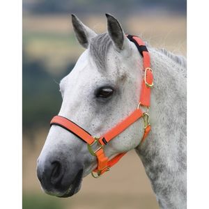 Shires Topaz Nylon Breakaway Halter - Orange