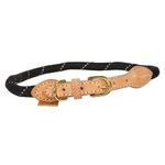 Digby---Fox-Reflective-Dog-Collar---Black-21920