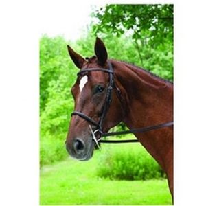 Imperial Plain Raised Bridle - Havana