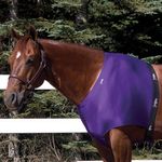 Jammies-Shoulder-Guard---Purple-150476