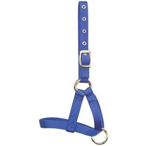 Hamilton Nylon Livestock Halter