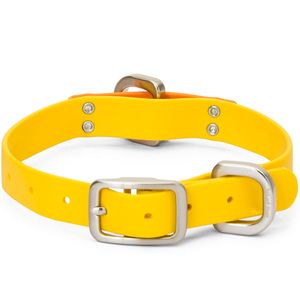 West Paw Jaunts Waterproof Dog Collar - Goldenrod/Tangerine