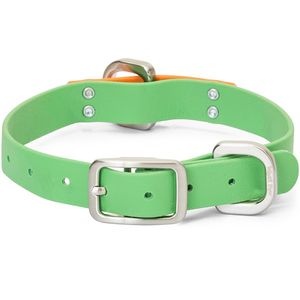 West Paw Jaunts Waterproof Dog Collar - Greenery/Tangerine