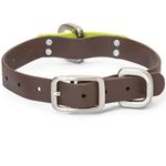 West-Paw-Jaunts-Waterproof-Dog-Collar---Mocha-Granny-Smith-37983