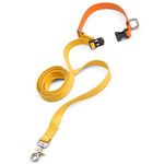 West-Paw-Jaunts-Comfort-Grip-Dog-Leash---Goldenrod-Tangerine-37988