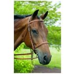 HDR-Pro-Fancy-Raised-Padded-Bridle---Oakbark-82216