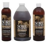 Sore-No-More-Performance-ULTRA-Liniment-14593