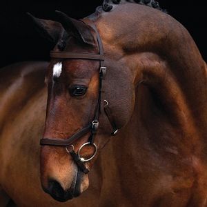 Rambo Micklem Competition Bridle w/ Reins - Brown
