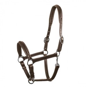 Schockemohle Sports Ulm Leather Halter - Brown/Silver