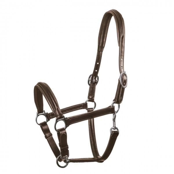 Weaver Nylon Miniature Horse Halter - Purple