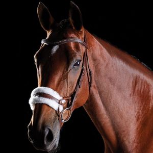 Collegiate ComFiTec Sheepskin Bridle - Brown