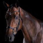 Collegiate-ComFiTec-Crystal-Bridle---Black-243808