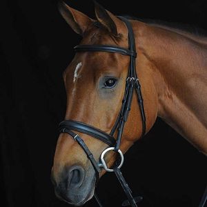 Collegiate Comfort Crown Padded Raised Flash Bridle - Black