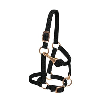 Weaver-Nylon-Miniature-Horse-Halter---Black-28869