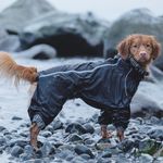 Hurtta-Canine-Downpour-Suit---Raven-233564