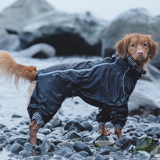 Hurtta-Canine-Downpour-Suit---Raven-233564