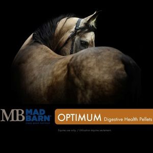 Digestion & Gut Health Supplement – Mad Barn Optimum Digestive Health – Pellets