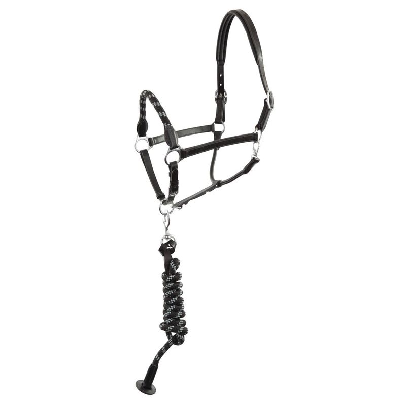 Lead Rope Shiny with Snap Hook