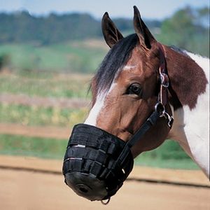 Weaver Breakaway Anti Grazing Muzzle