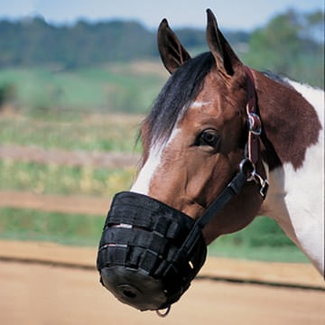 Weaver-Breakaway-Anti-Grazing-Muzzle-112073