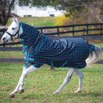 Amigo-Pony-Plus-50g-Turnout---Black-Check-Teal-Silver-29838