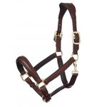LeMieux-Anatomic-Leather-Halter---Brown-242103