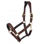 LeMieux Anatomic Leather Halter - Brown