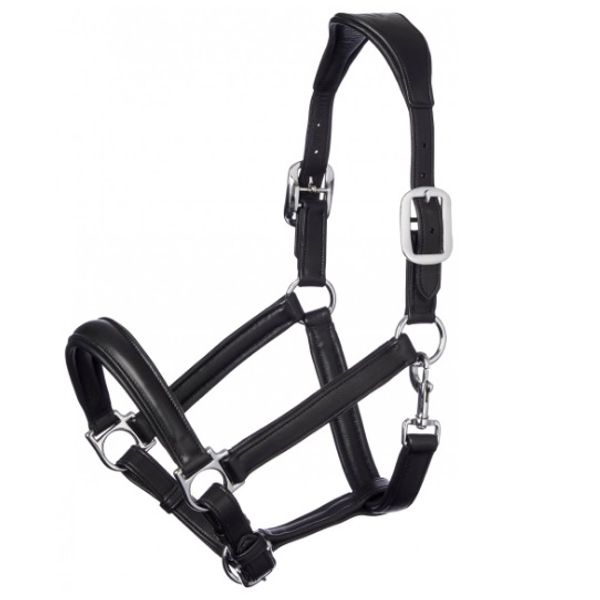 LeMieux Anatomic Leather Halter - Black