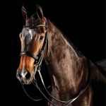 Collegiate-ComFiTec-Weymouth-Bridle---Black-64376