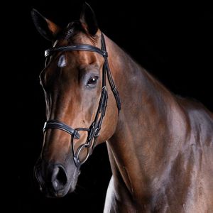 Collegiate ComFiTec Fancy Stitched Bridle - Black