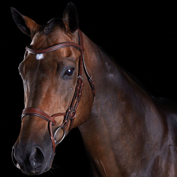 Collegiate-ComFiTec-Training-Bridle---Brown-243822