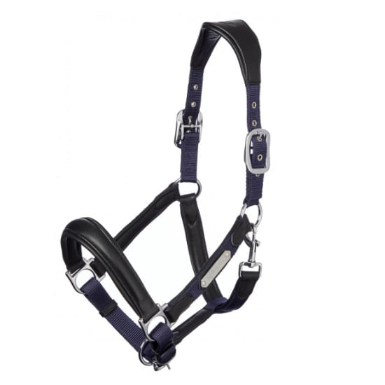LeMieux-Capella-Halter---Navy-243976
