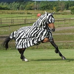 Bucas Buzz-Off Fly Sheet - Zebra