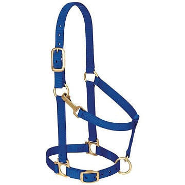 Weaver-Basic-Adjustable-Halter---Blue-208