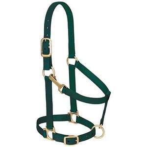 Weaver Basic Adjustable Halter - Hunter