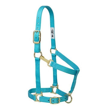 Weaver-Basic-Adjustable-Halter---Turquoise-28694