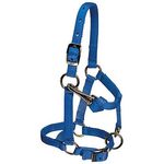 Weaver-Nylon-Miniature-Horse-Halter---Blue-28870